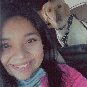 Meet your Posher, Sunny